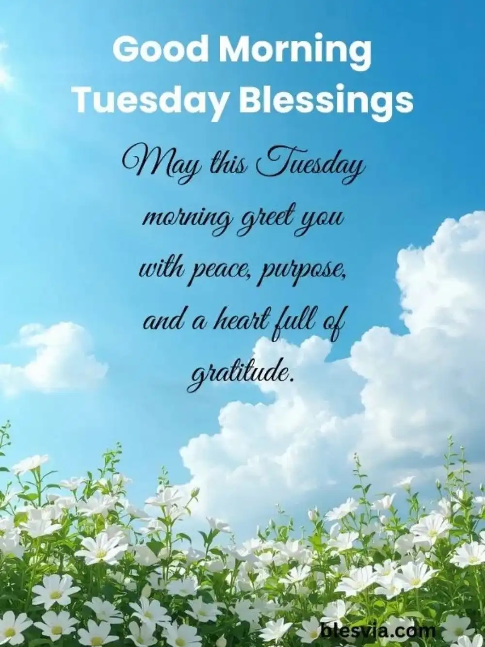 Good Morning Tuesday Blessings