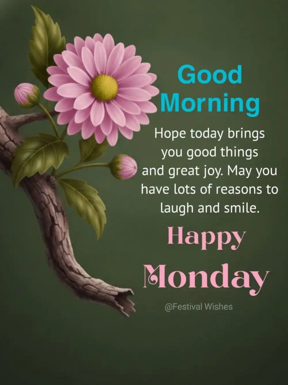 Monday Something Special