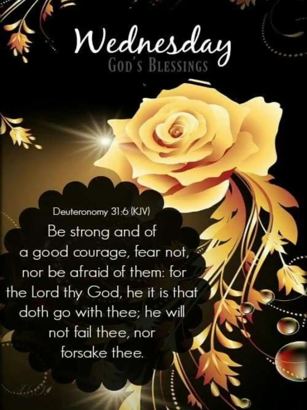 Beautiful Good Morning Wednesday Blessings