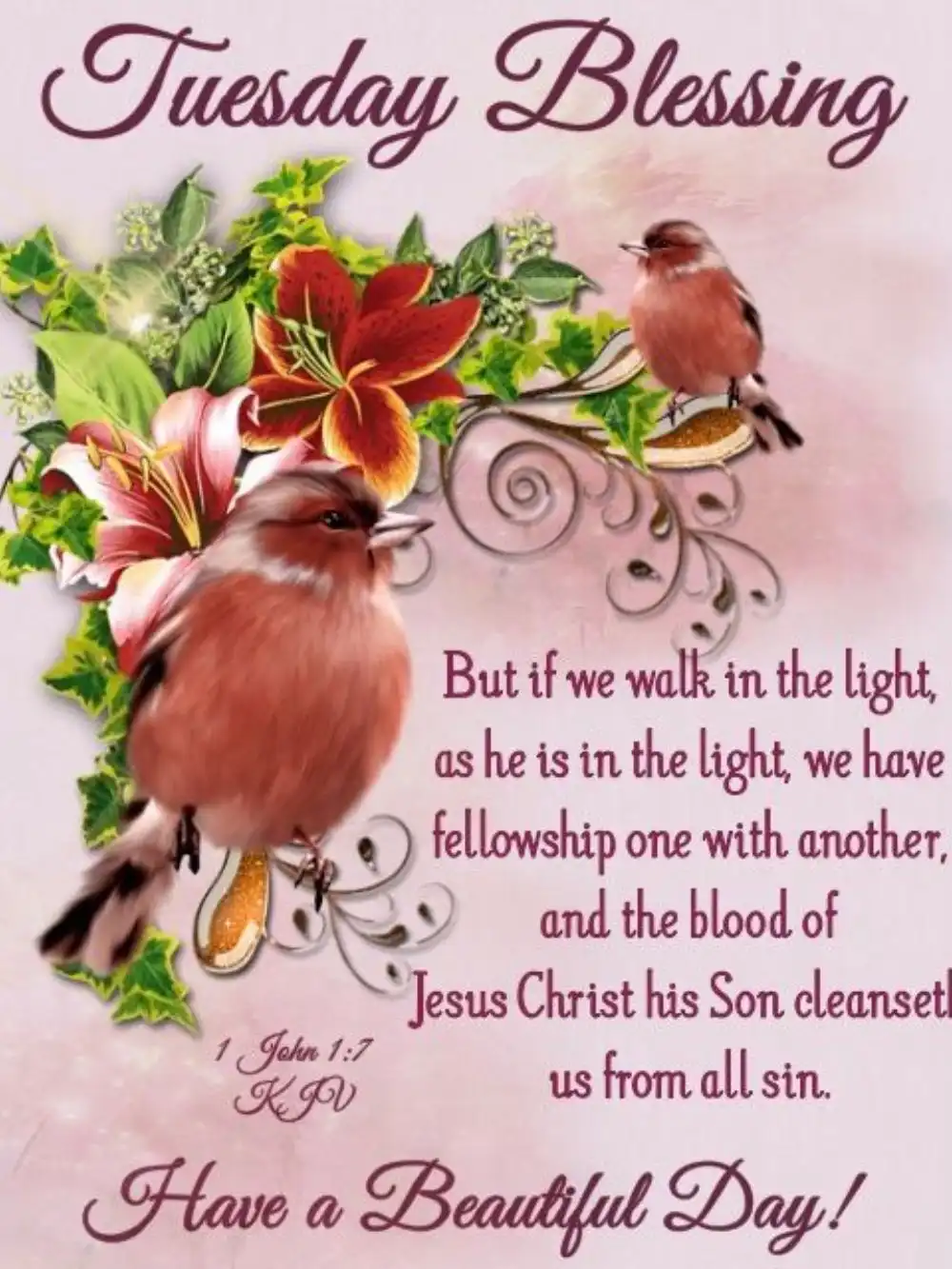 Beautiful Tuesday Morning Blessings