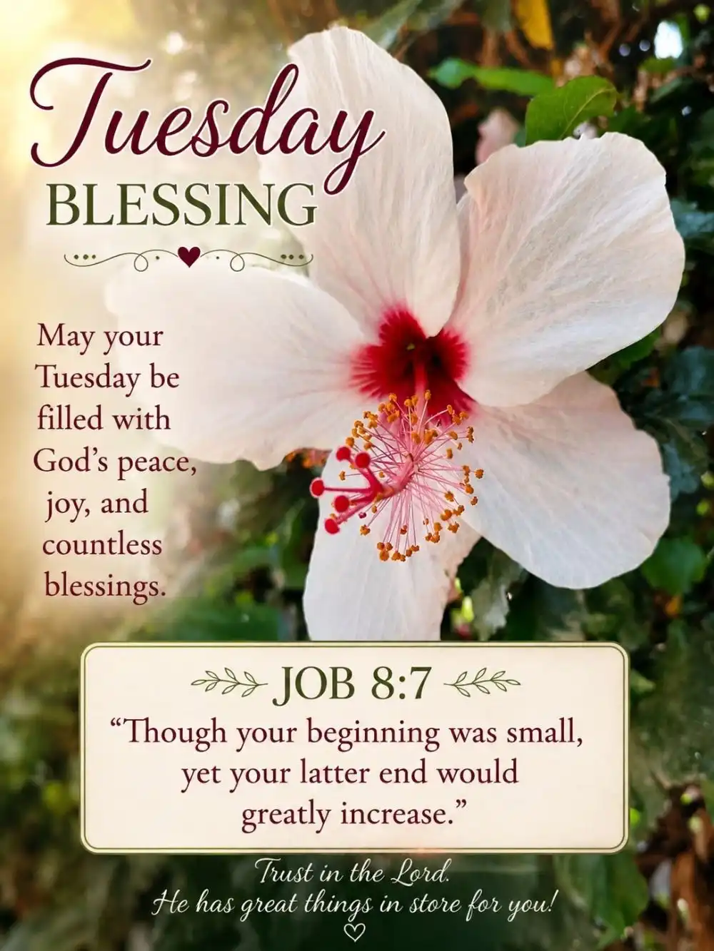 Inspirational Good Morning Tuesday Blessings