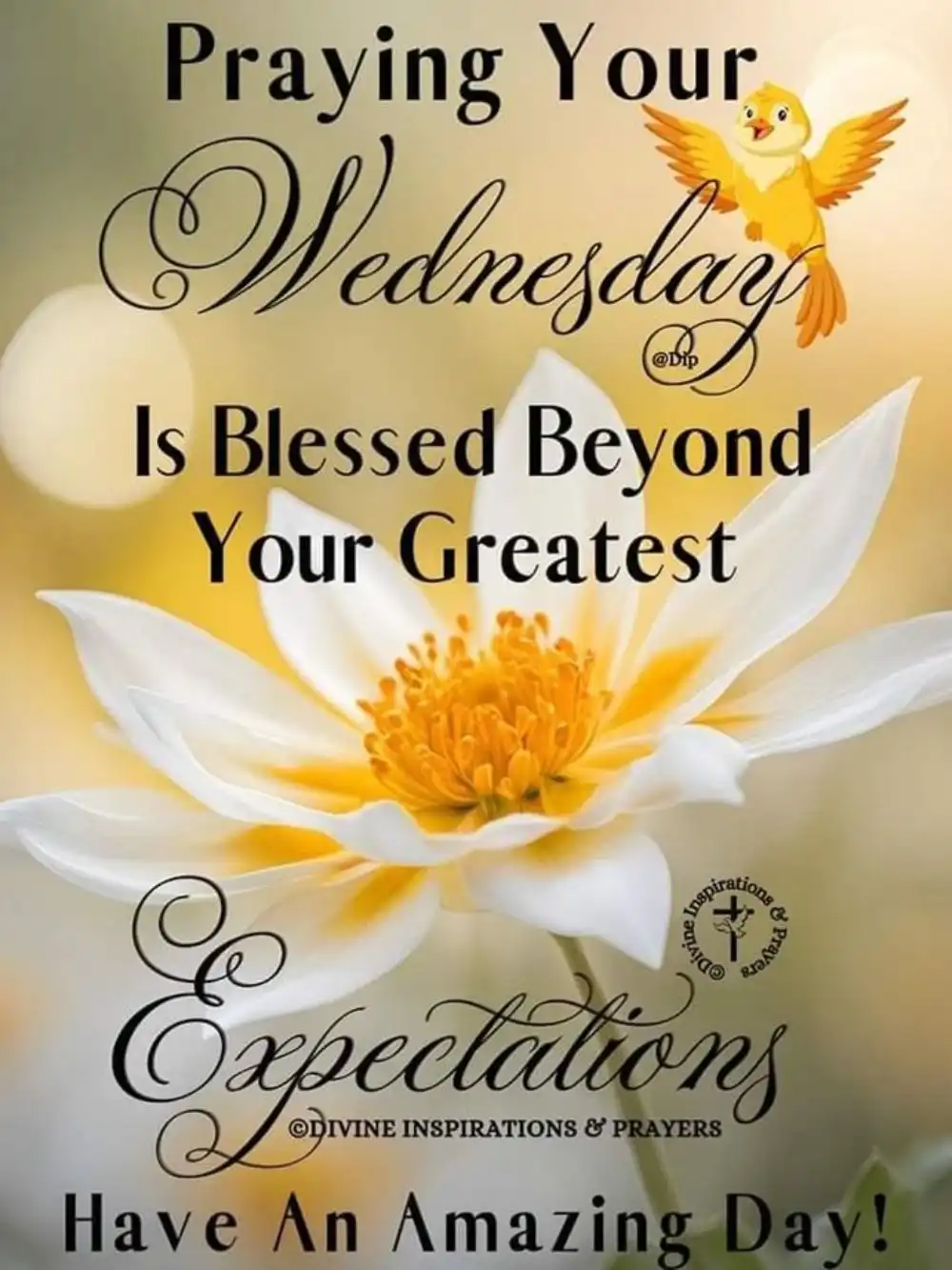 wednesday-blessings-for-friends